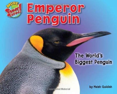 Emperor Penguin, The World's Biggest Penguin