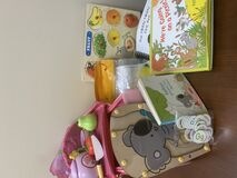 Picnic Literacy Kit : Includes adapted books, standard books, sensory items, and themed toys to enhance student learning.