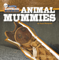 Animal mummies