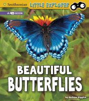 Beautiful butterflies