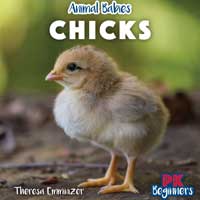 Chicks