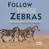 Follow those zebras! : solving a migration mystery