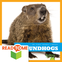 Groundhogs