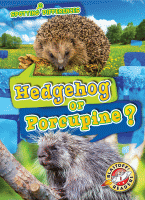 Hedgehog or porcupine?