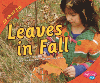 Leaves in fall