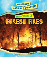 The science of forest fires