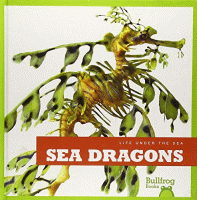 Sea dragons