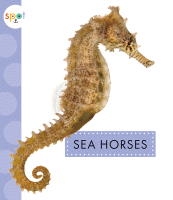 Sea horses