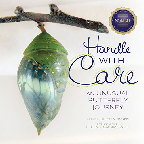 Handle with care-- an unusual butterfly