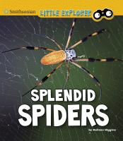 Splendid spiders