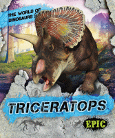 Triceratops