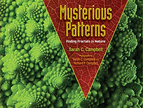 Mysterious patterns-- finding fractals i