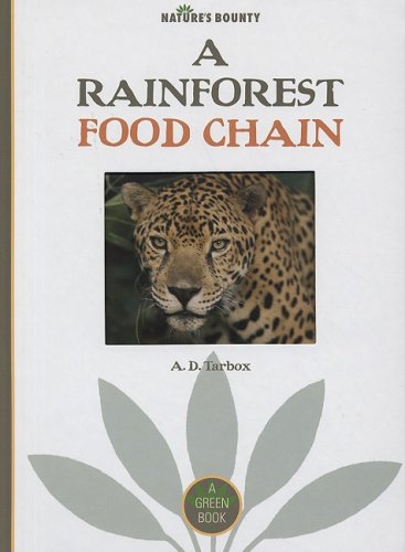 A rain forest food chain