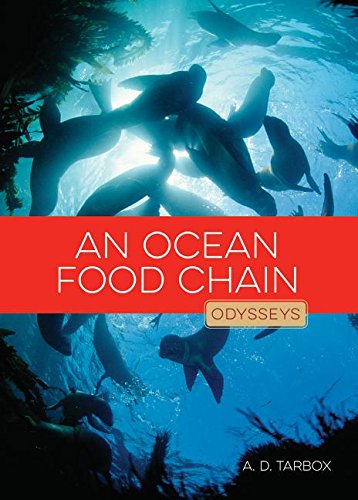 An ocean food chain.
