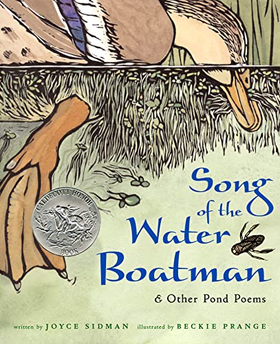 Song of the water boatman  : & other pond poems