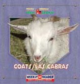 Goats  : Las cabras