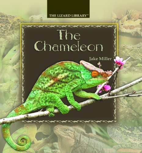 The chameleon