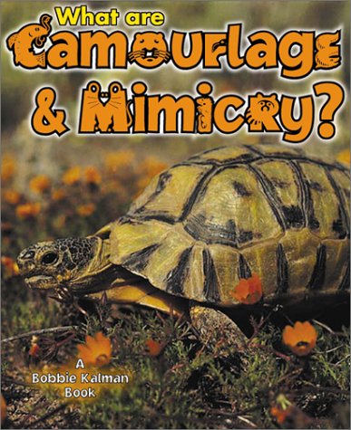 What are camouflage and mimicry?