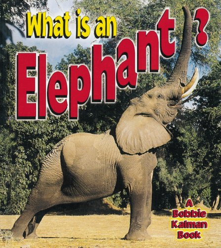 What is an elephant?