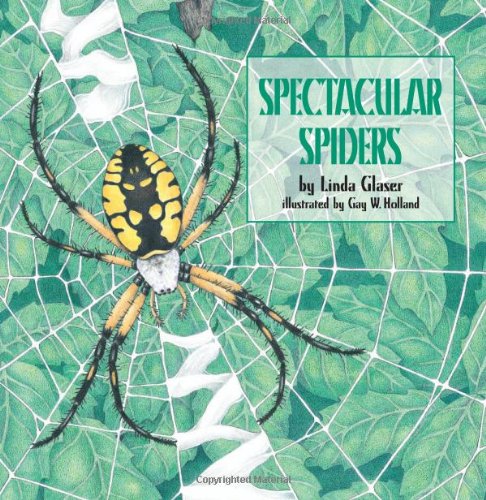 Spectacular spiders