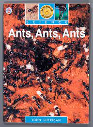 Ants, Ants, Ants