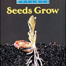 Seeds Grow