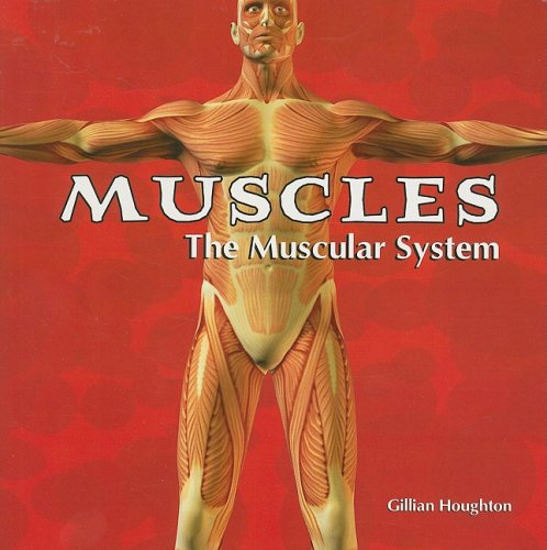 Muscles  : the muscular system