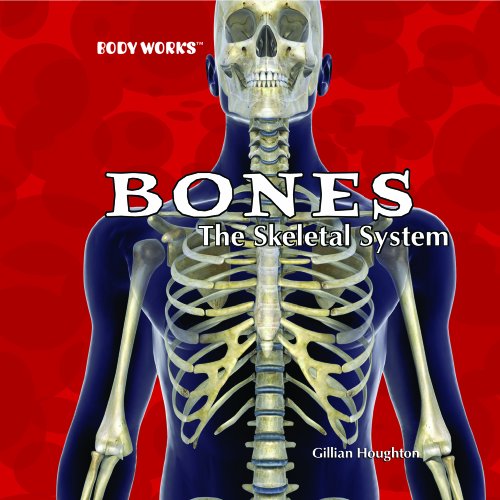 Bones  : the skeletal system