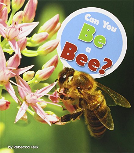 Can you be a bee?