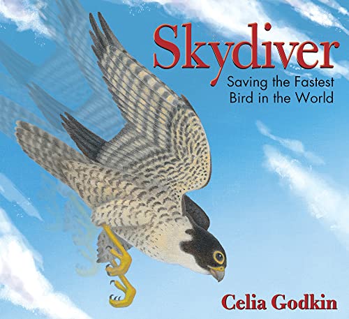 Skydiver-- saving the fastest bird in th