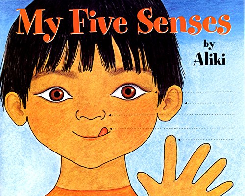 My five senses