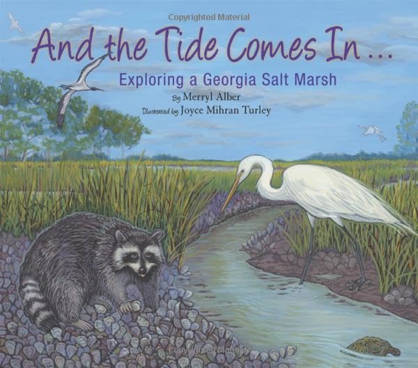 And the Tide Comes In : Exploring a Georgia Salt Marsh.