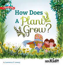 How does a plant grow