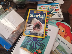 Sea - Adapted Book Kit