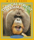 Tropical forest mammals
