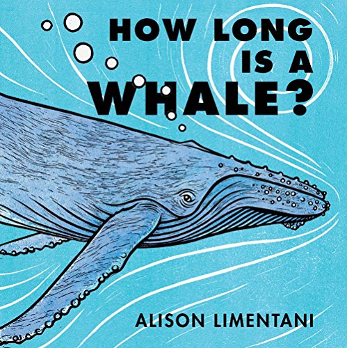 How Long is a Whale?