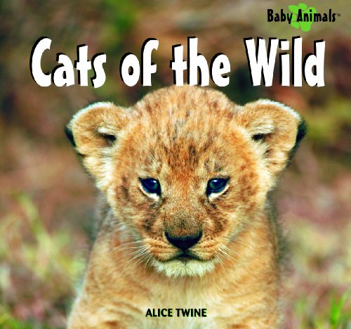 Cats of the wild