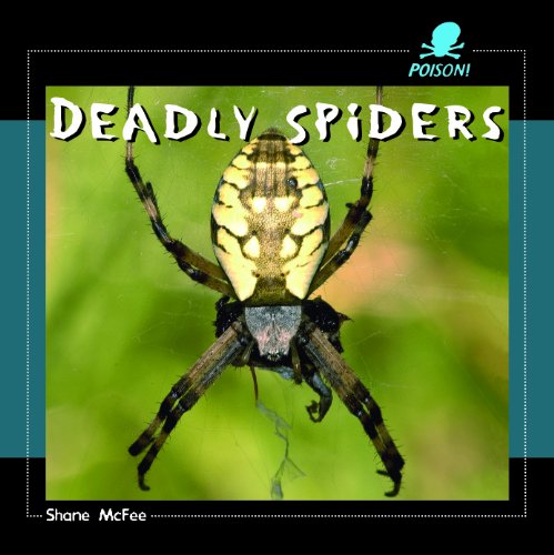 Deadly spiders