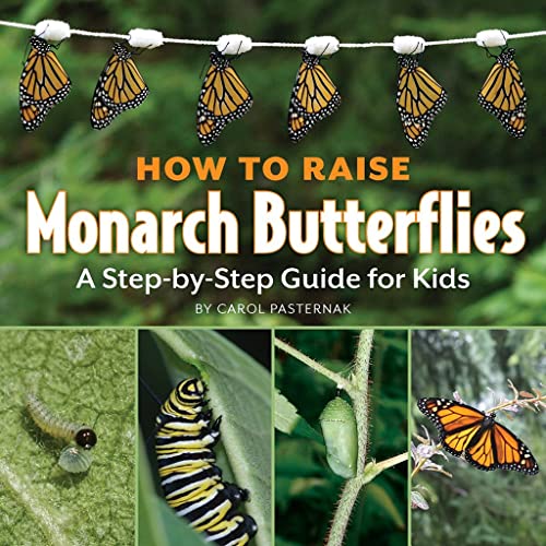 How to raise monarch butterflies-- a ste