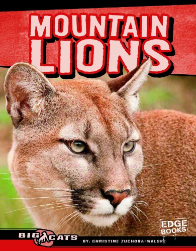 Mountain lions