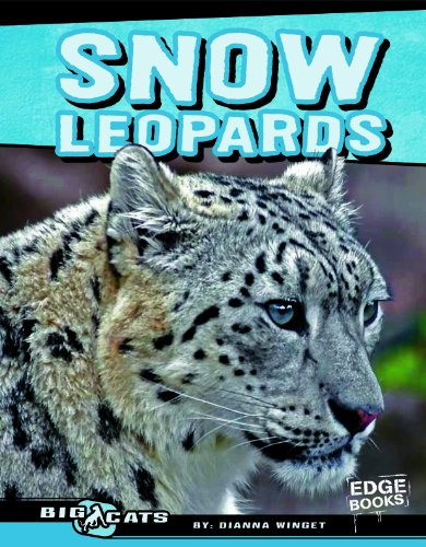 Snow leopards