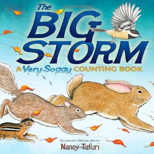 Big storm : a very soggy counting book.