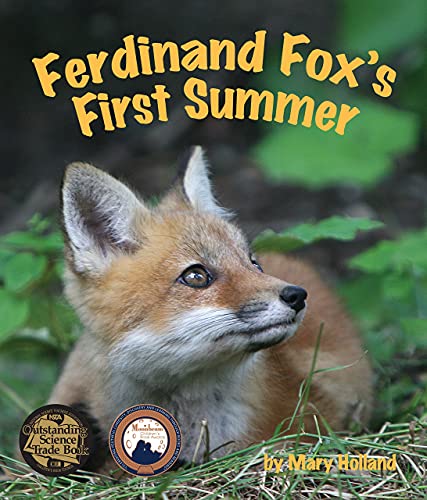 Ferdinand Fox's first summer