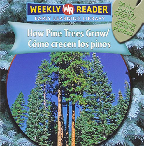 How pine trees grow  : CÃ³mo crecen los pinos