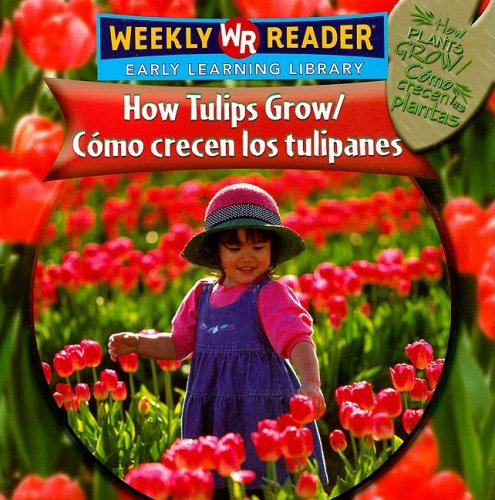 How tulips grow  : CÃ³mo crecen los tulipanes