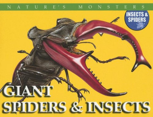 Giant spiders & insects