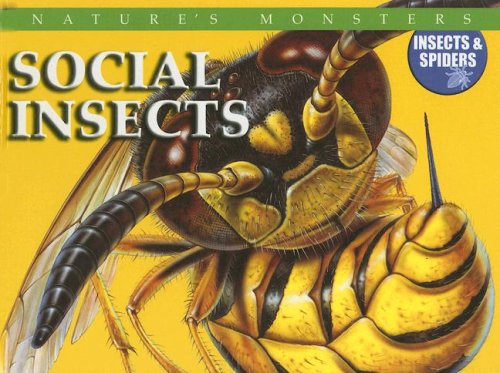 Social insects