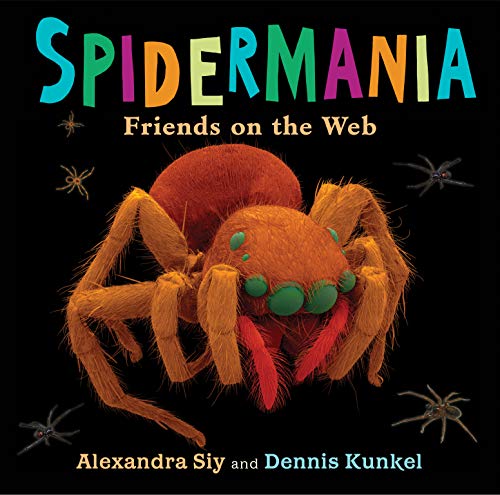 Spidermania : friends on the web