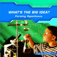 What's the big idea?: forming hypotheses